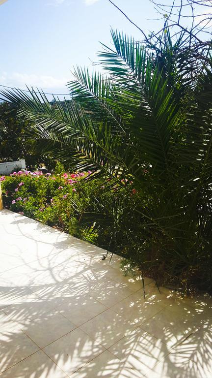 Marathi Panorama Rooms Exteriör bild
